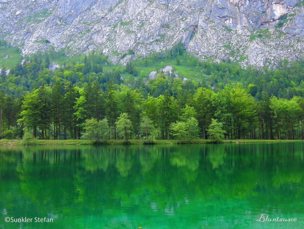 Gaestehaus Sunkler Golling an der Salzach Bagian luar foto